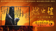 欧美v∧